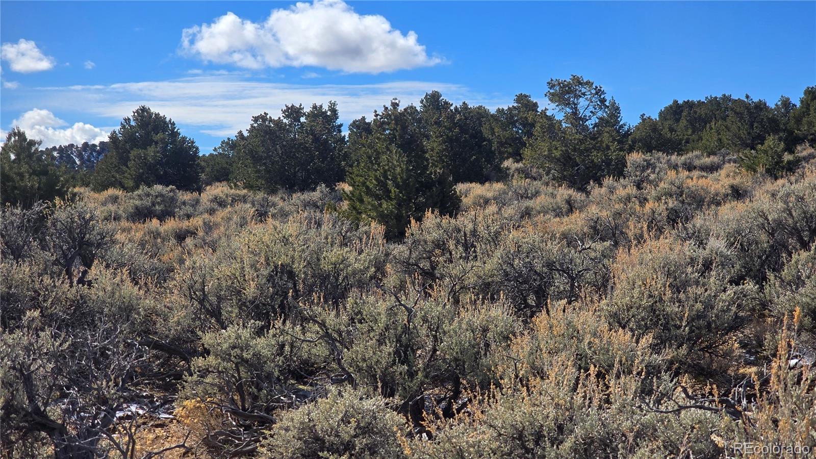 Lot 421 Sabine Road