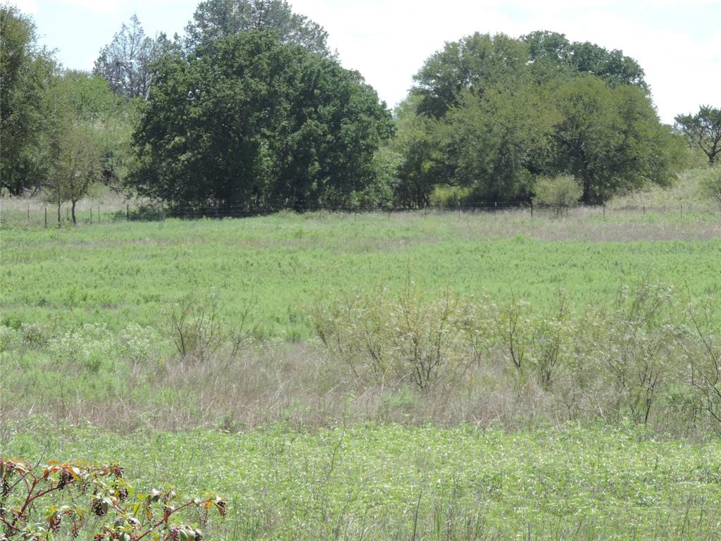 453 County Road 454