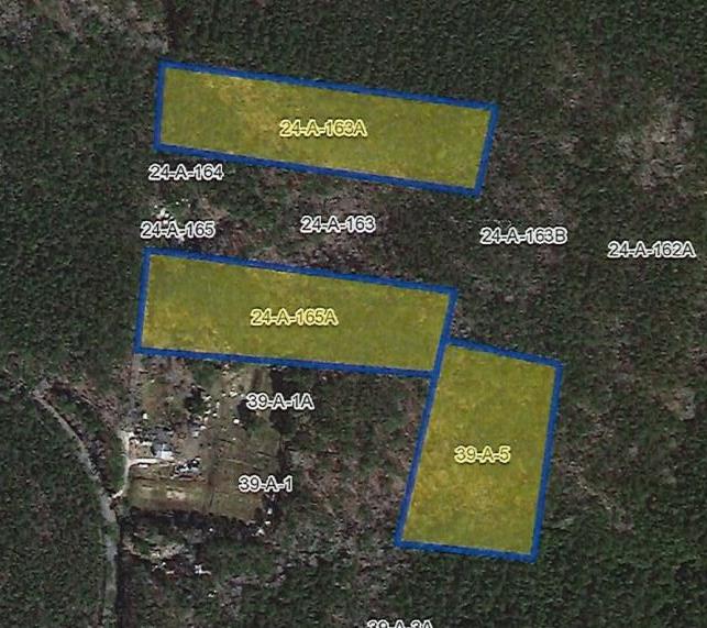 Three separate parcels sold together to equal 6.5 acres of prime wooded land which are perfect for hunting enthusiasts or those seeking a private retreat. This tranquil property, offers abundant natural cover and plenty of mature trees, making it ideal for hunting or recreational use. Embrace the quiet beauty of this secluded forested area—an excellent investment for outdoor lovers and landowners alike.