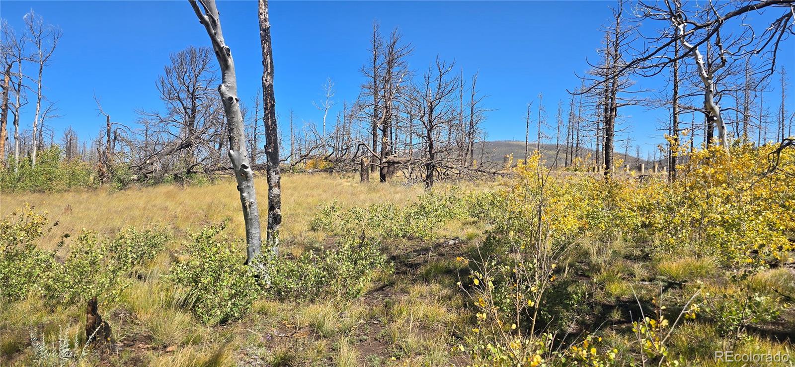Lot 1684 Emery Loop