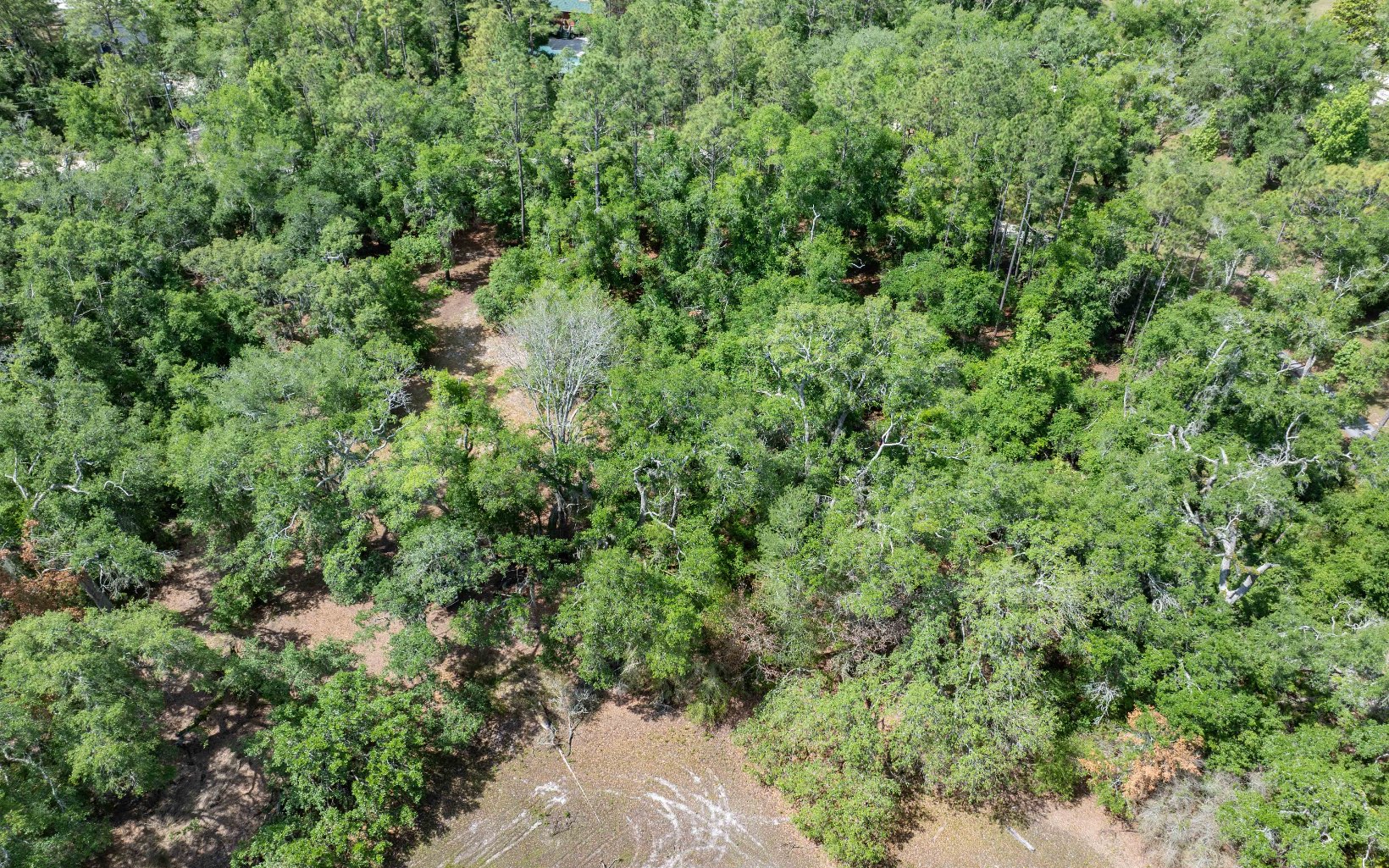 291 SE Lakeview Dr