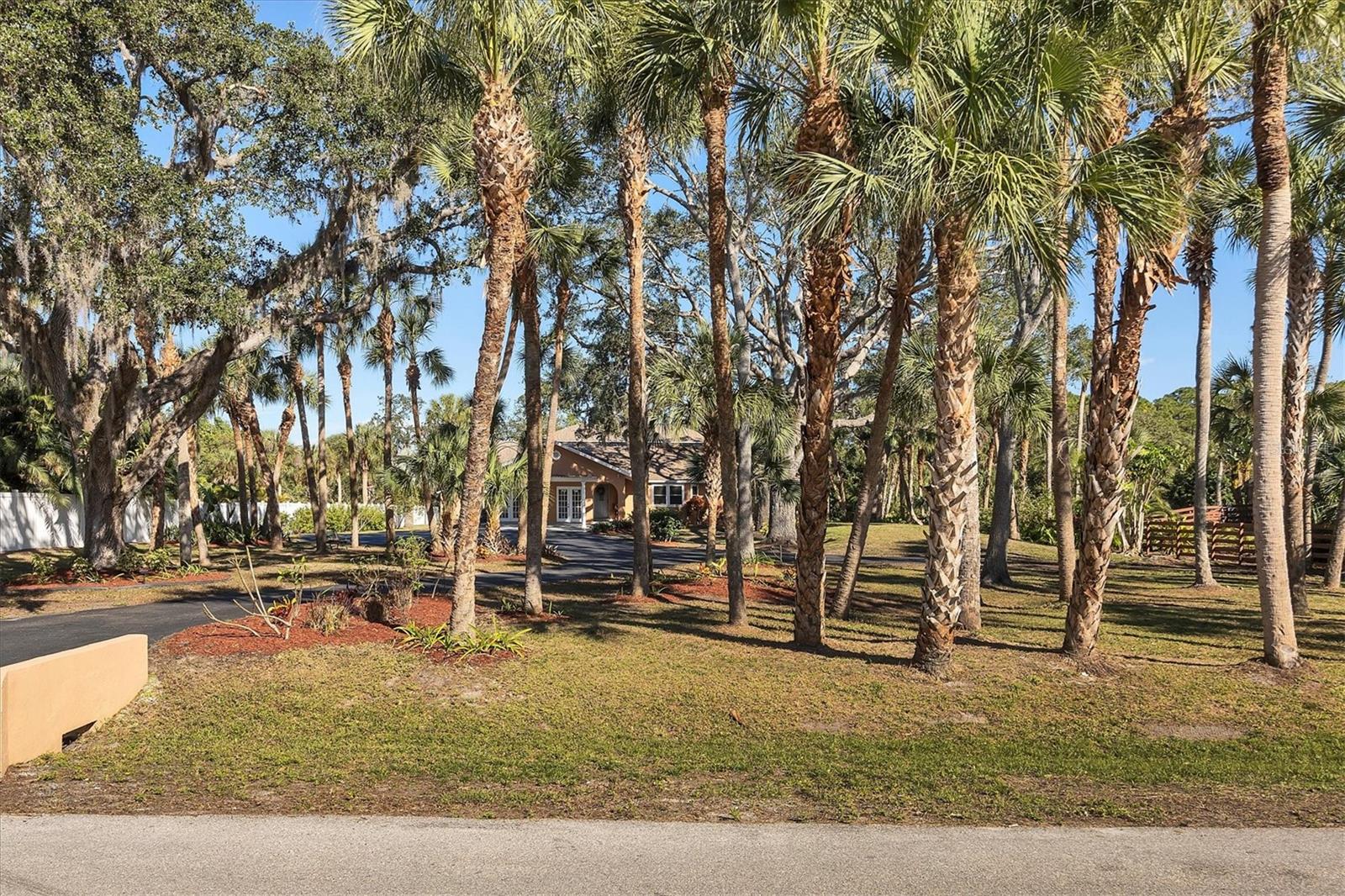 863 Pinto Circle