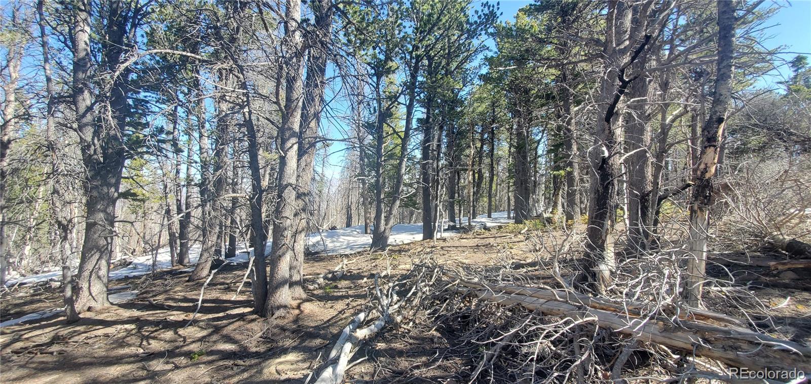 Lot 2739 Newman Place