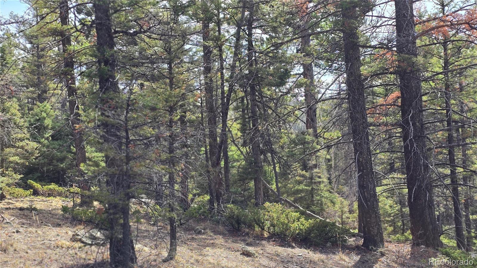 Lot 6070 Vreeland Road