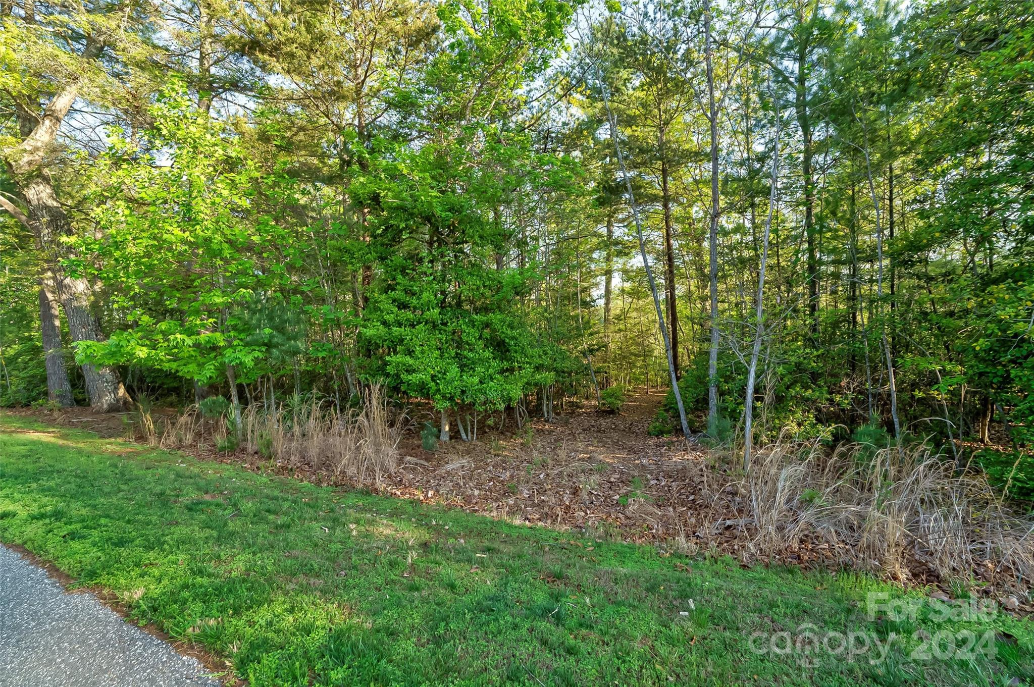 2088 Catawba Trail 161