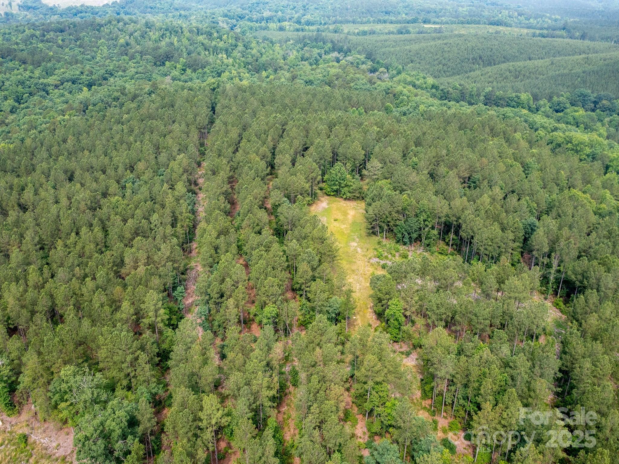 This exceptional timber and recreation tract in the heart of Montgomery County offers a variety of possibilities.  The property is situated between Mt. Gilead, Troy, Biscoe and Candor and exemplifies the rural lifestyle that so many people are searching for. Loblolly pines are found throughout most of the property as well as occasional, mixed hardwoods.  There is an intermittent creek that crosses the property about a third of the way going west from the entrance.  

The wildlife is plentiful here with deer, turkeys and small game being seen on the property frequently.  The excellent wildlife habitat along with areas suitable for food plots, offer outstanding hunting opportunities.  Future timber value offers a great return on investment. Whether you're looking for a long-term investment, a private homestead or a recreation tract, this property is the perfect place for your country lifestyle dreams to come true.