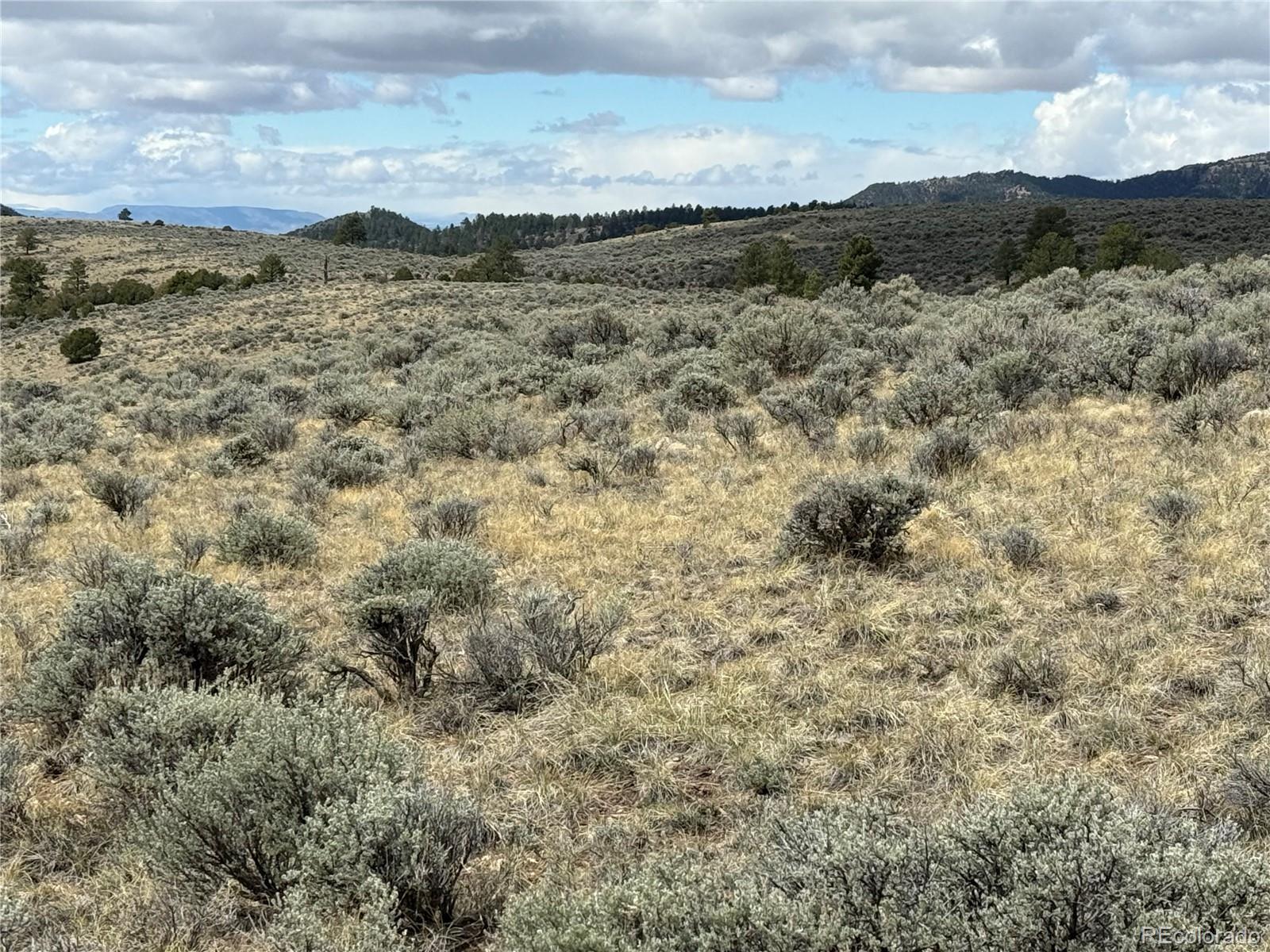 Lot 297 Boothby Lane