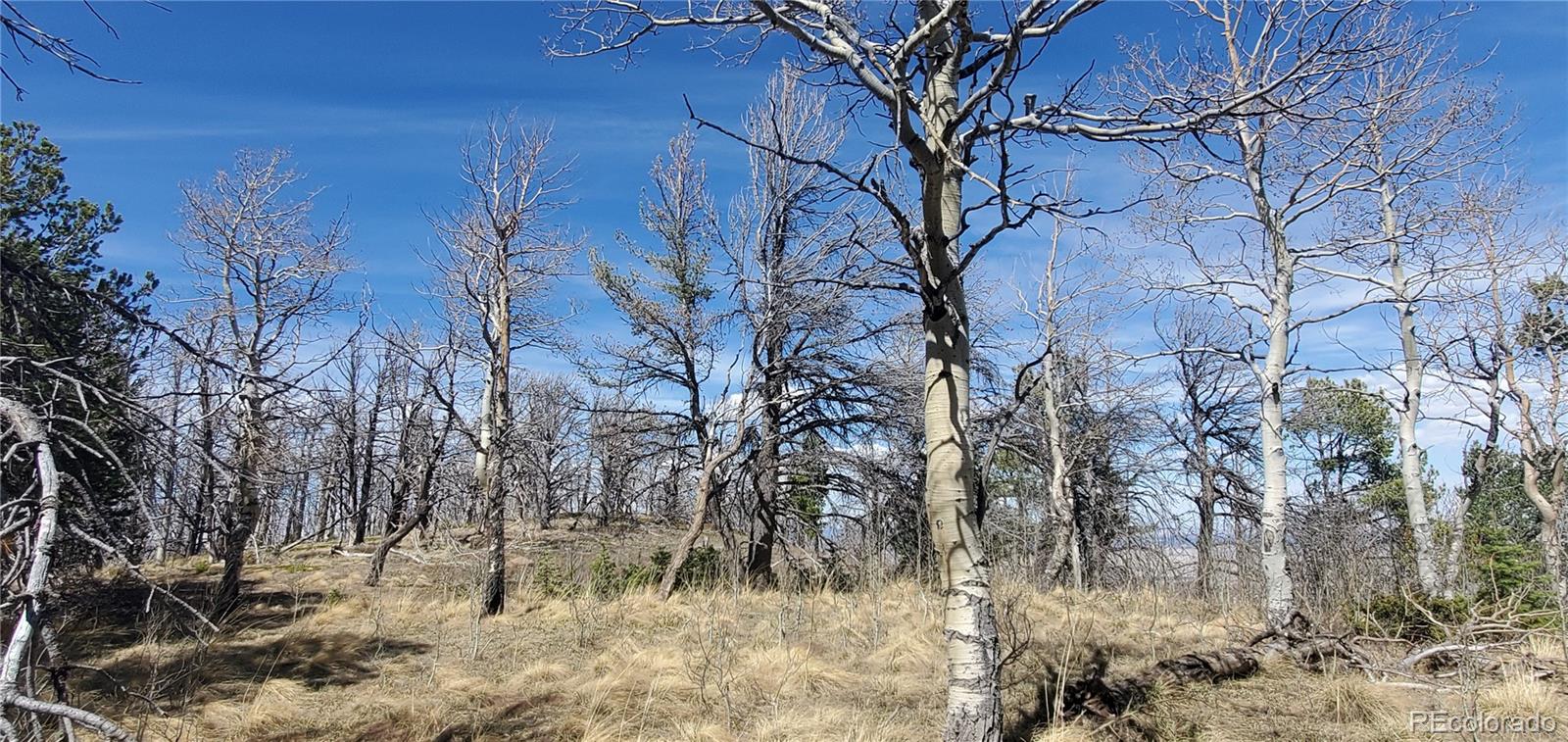 Lot 2560 Grojean Drive