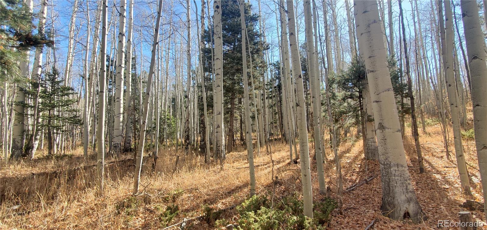 Lot 6060 Forbes Road