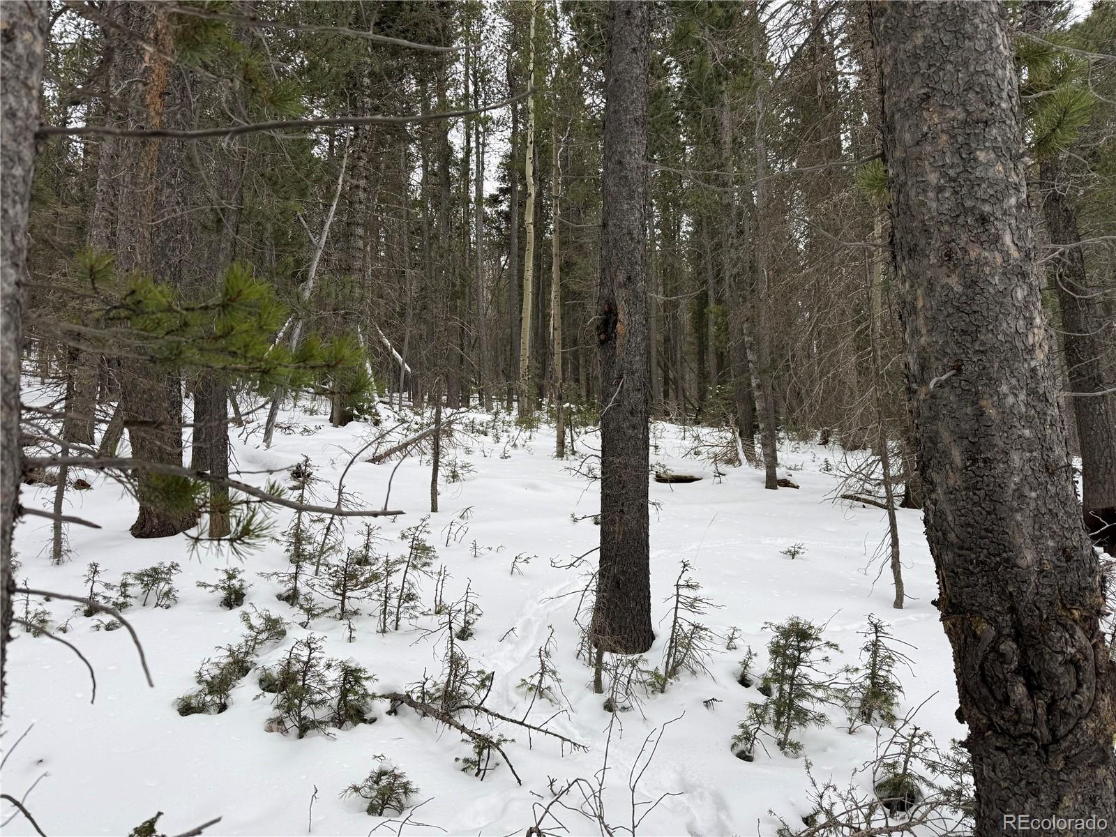 Lot 2759 Purnell Lane