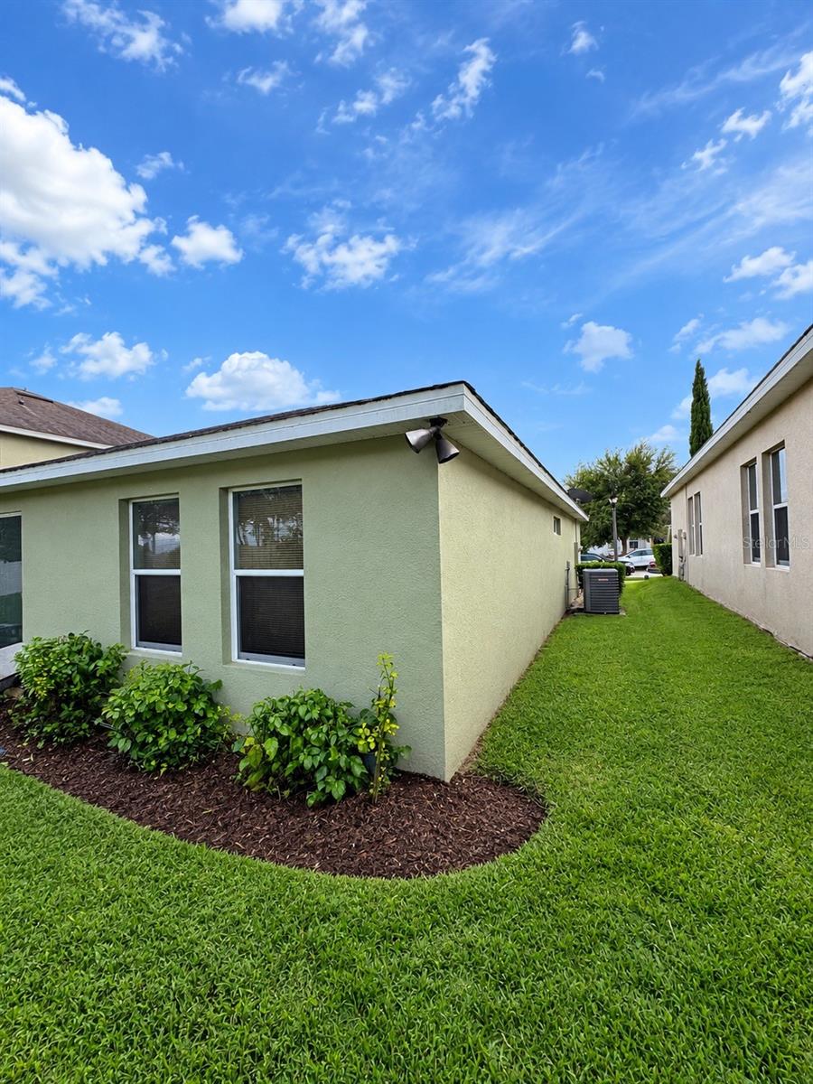 3538 Heart Pine Loop