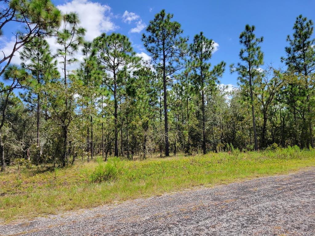 Lots and Land for sale in Dunnellon, Florida, 788166