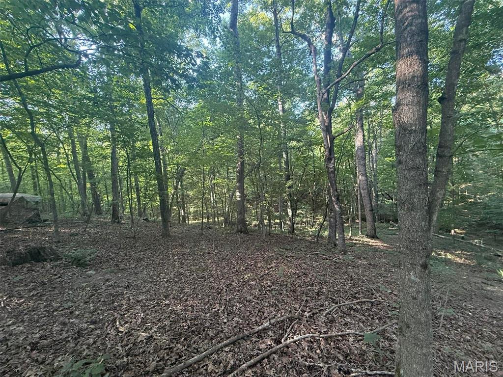 25484 Sky Drive