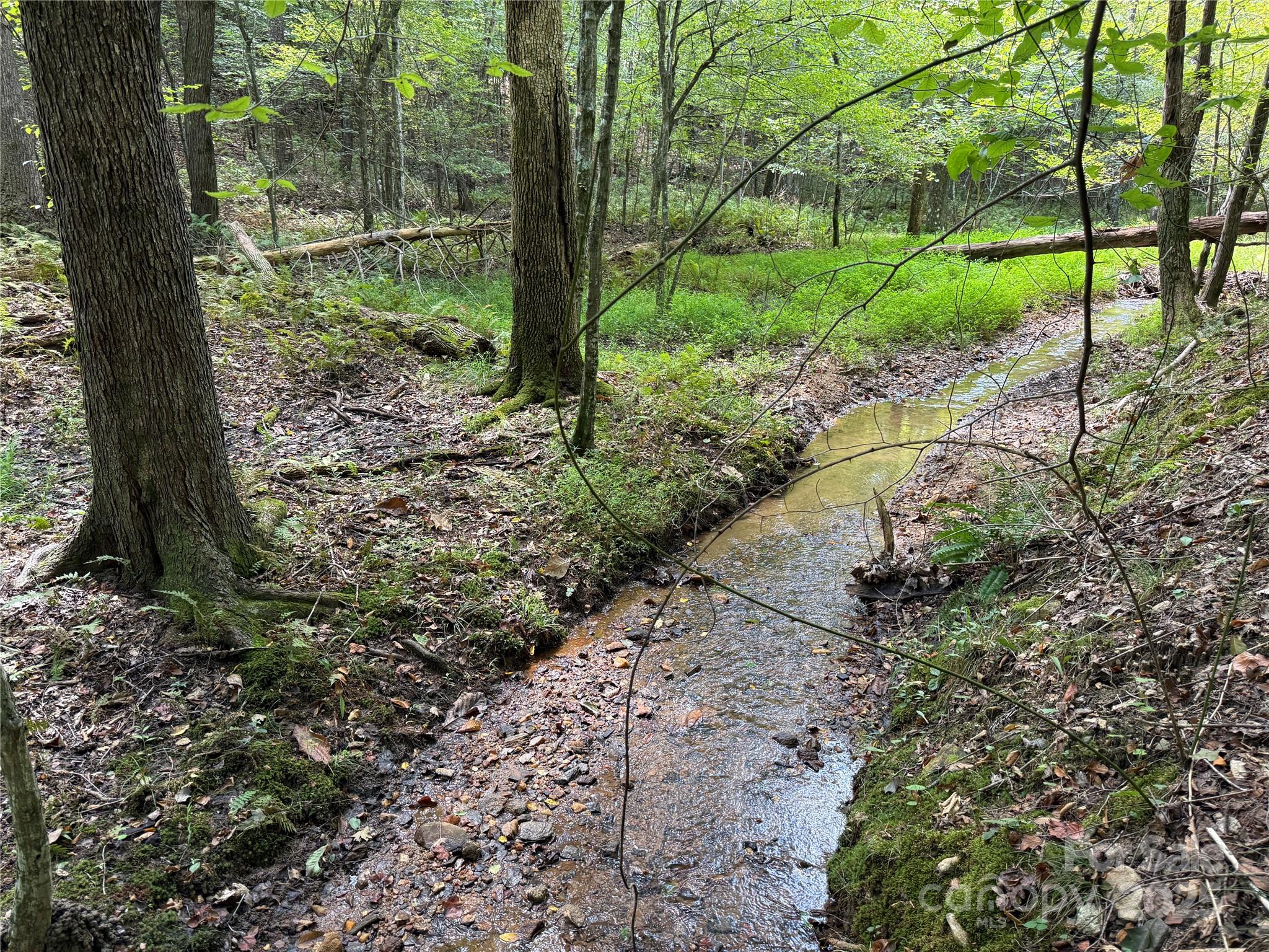 0 Mountain Brook Trail 298