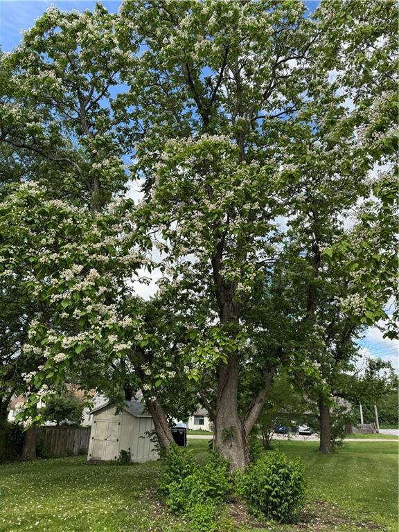 11036 N Locust Street