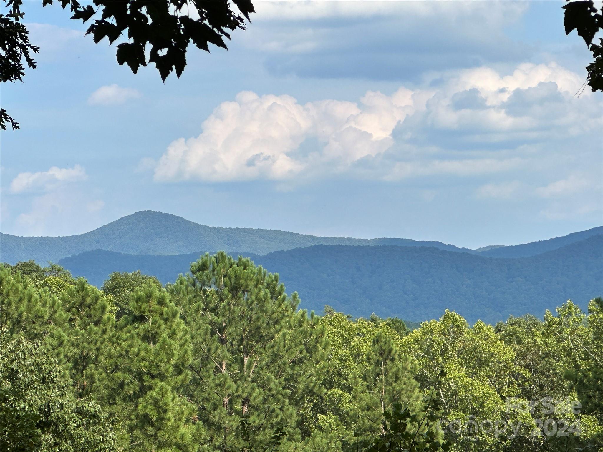 67 Dunn Trail 9