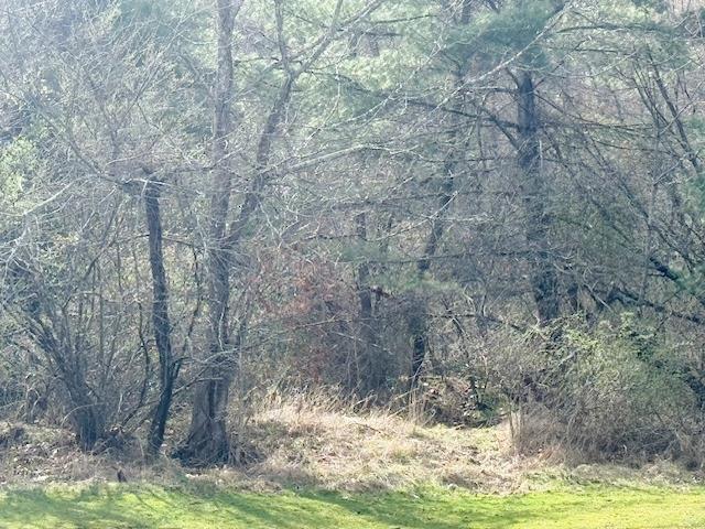 0.08 acre tract of wooded land