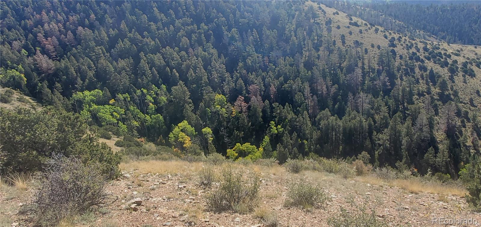 Lot 5820 Covington Road