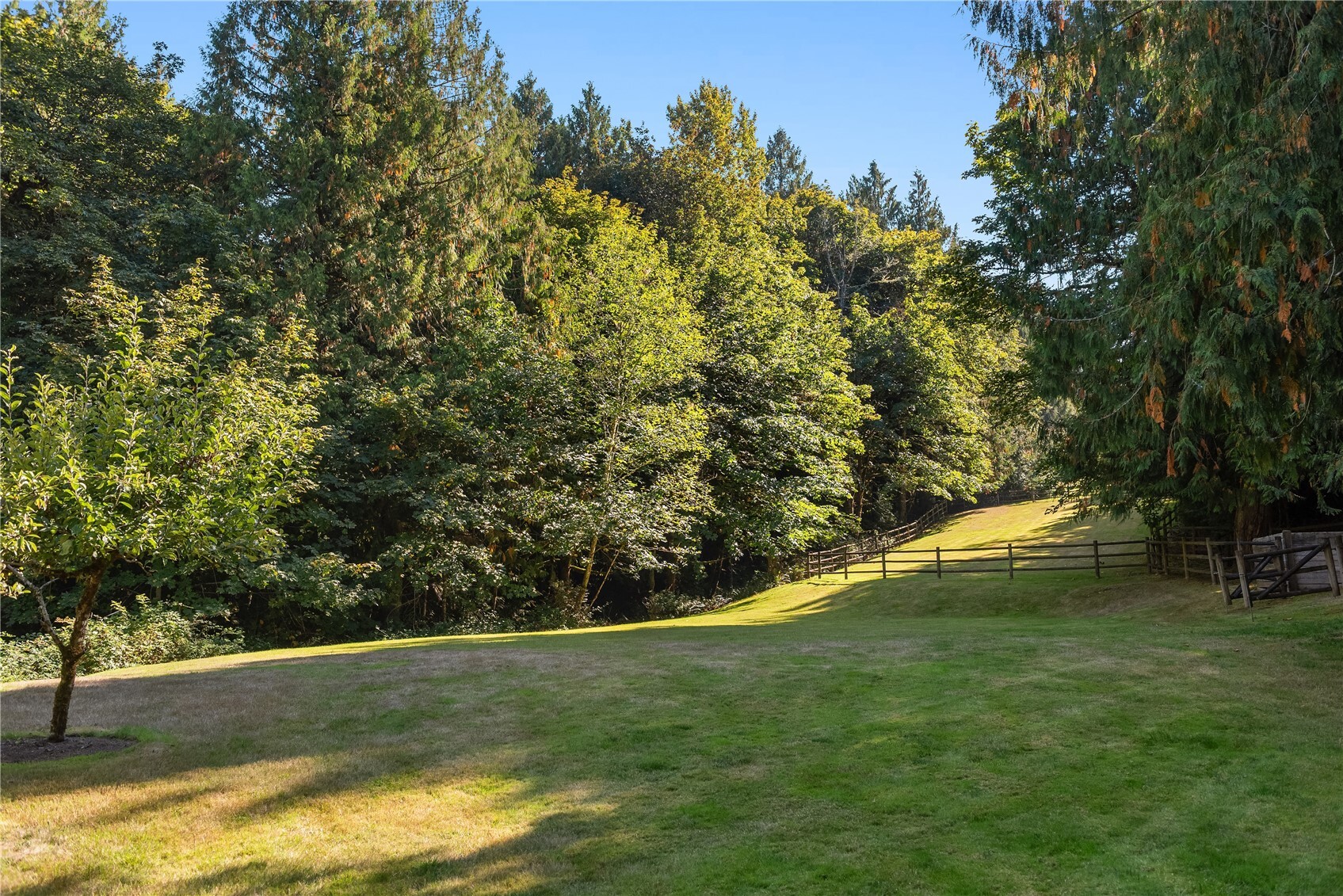 Grassy pasture bordered by wood fencing and trees