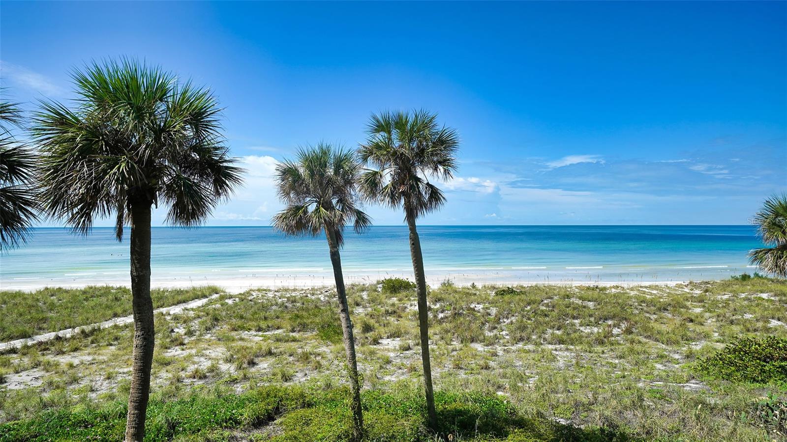 Direct beachfront living! This beautifully updated 2-bedroom, 2-bath residence offers unobstructed Gulf of Mexico views and front-row access to a slice of Longboat Key’s most quiet and uncrowded shoreline. Available fully furnished and turnkey, this condo is ready for immediate enjoyment as a primary residence, seasonal escape, or investment property.The spacious open layout connects the kitchen, dining, and living areas, creating a bright and functional space designed to maximize natural light and water views. The private balcony is the perfect place to spot dolphins, manatees and other wildlife while enjoying morning coffee or evening sunsets.With only 42 residences, Tiffany Plaza offers a more private and welcoming atmosphere than larger condominium communities, with an active clubhouse and strong sense of community among owners. Residents also enjoy close proximity to Bayfront Park, featuring dog parks, tennis, pickleball, kayak facilities, fitness classes, and beautiful bay front walking paths.