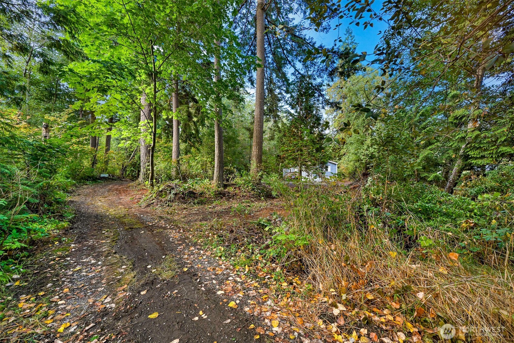 4257 Cody Road