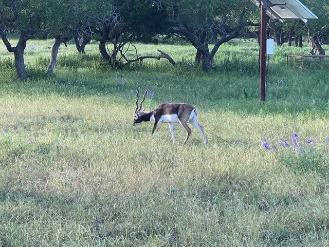 101 NE Big Draw Drive