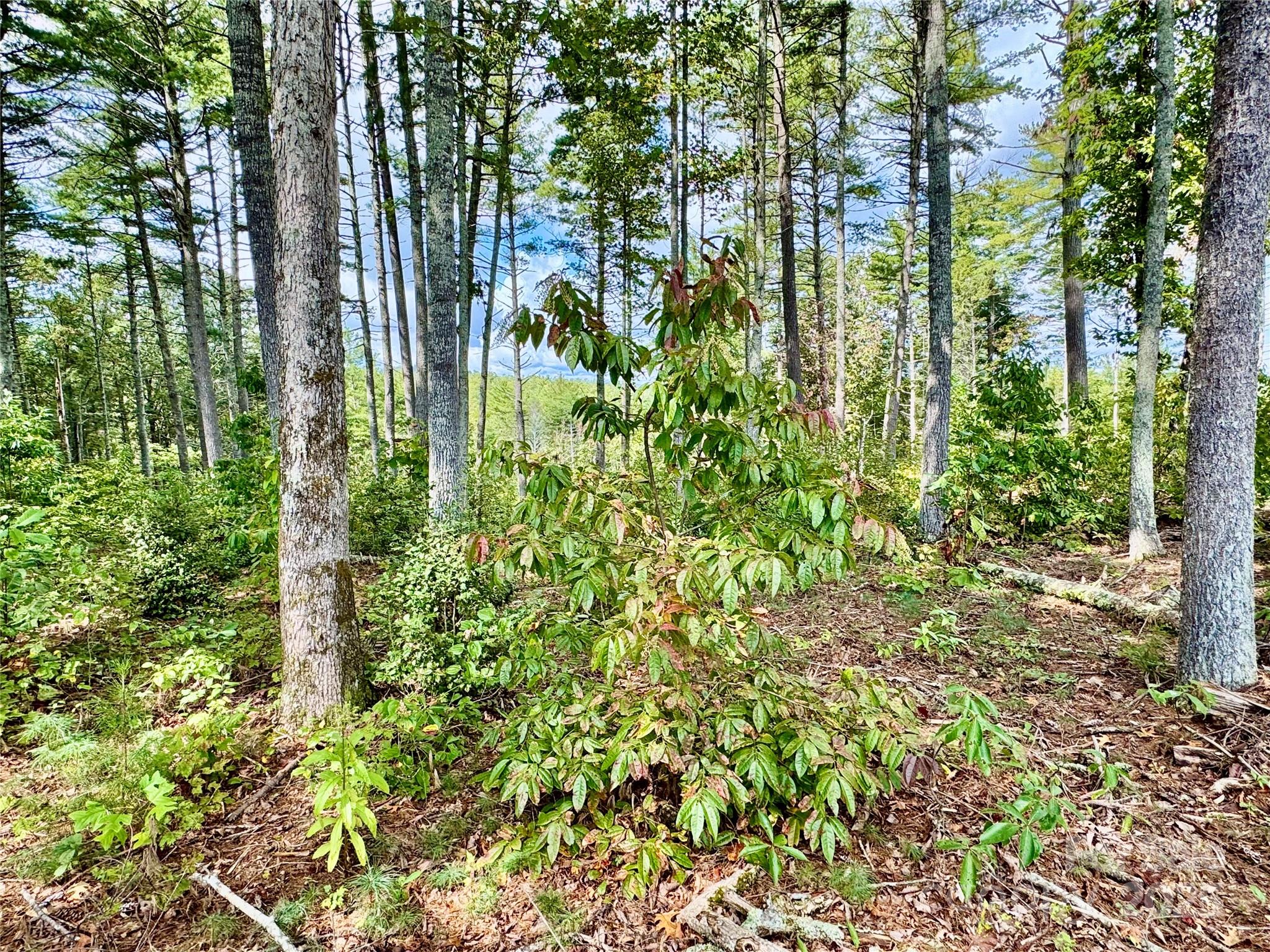 2088 Thoroughbred Way Lot G25