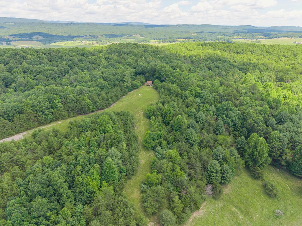 Discover the perfect blend of privacy and convenience with these two parcels totaling 53.97 acres. Whether you're looking to build your dream home, have a private retreat, or enjoy excellent hunting and wildlife with a base camp, this property offers beautiful mountain views, and a peaceful country setting—all just minutes from town and interstate access.