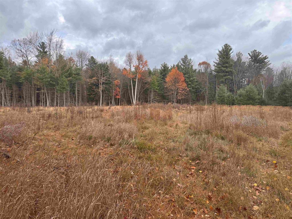 Beautiful piece of property within the city limits of East Tawas. Lots of privacy and yet within a mile from Downtown East Tawas, Beach, and Pier. Sizable clearing all ready for your future building site. City water and sewer at the road. LOTS of wildlife!!
