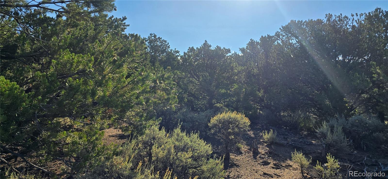 Lot 1362 Dunn Road