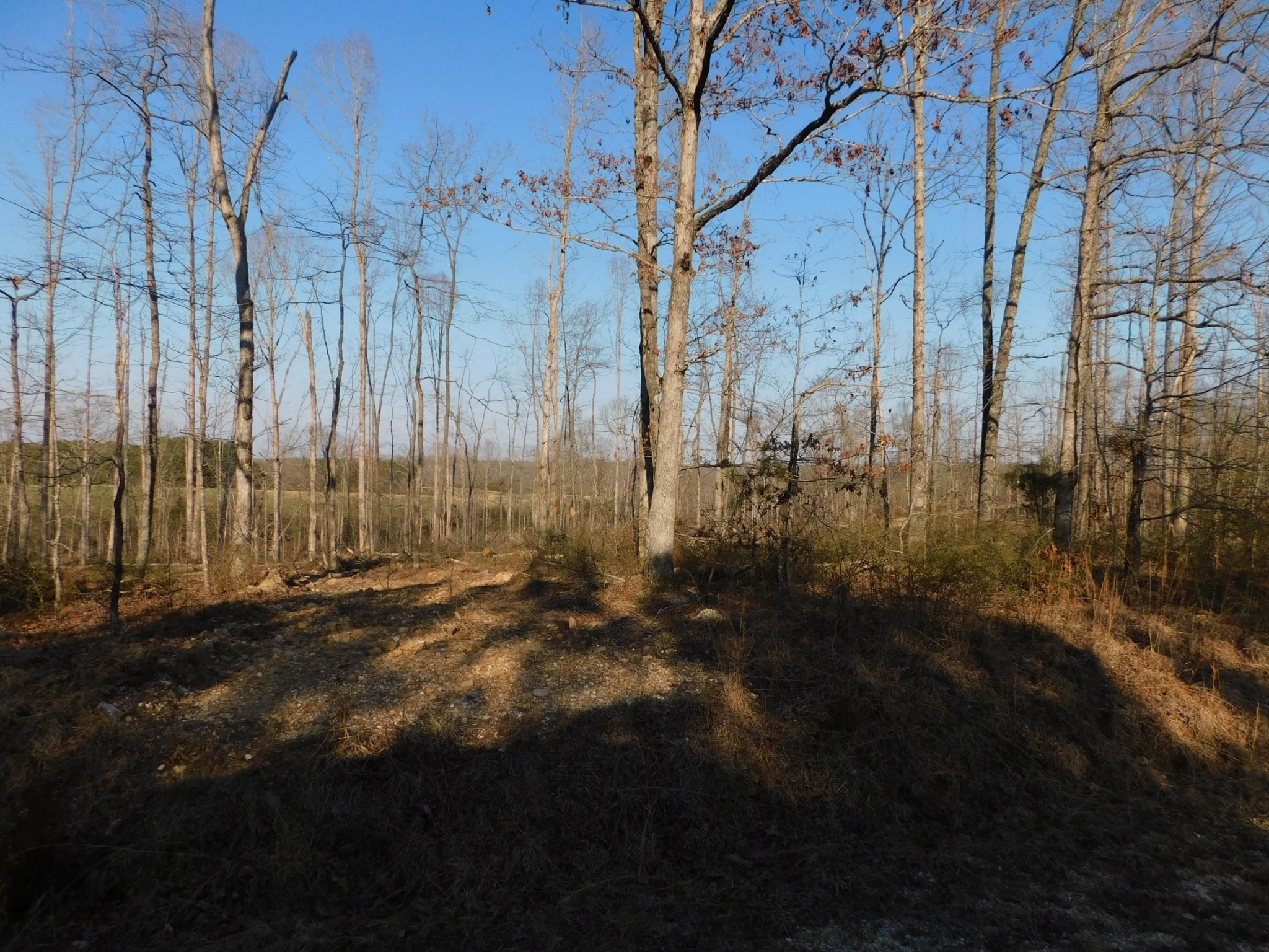 0 Lucas Ridge Road