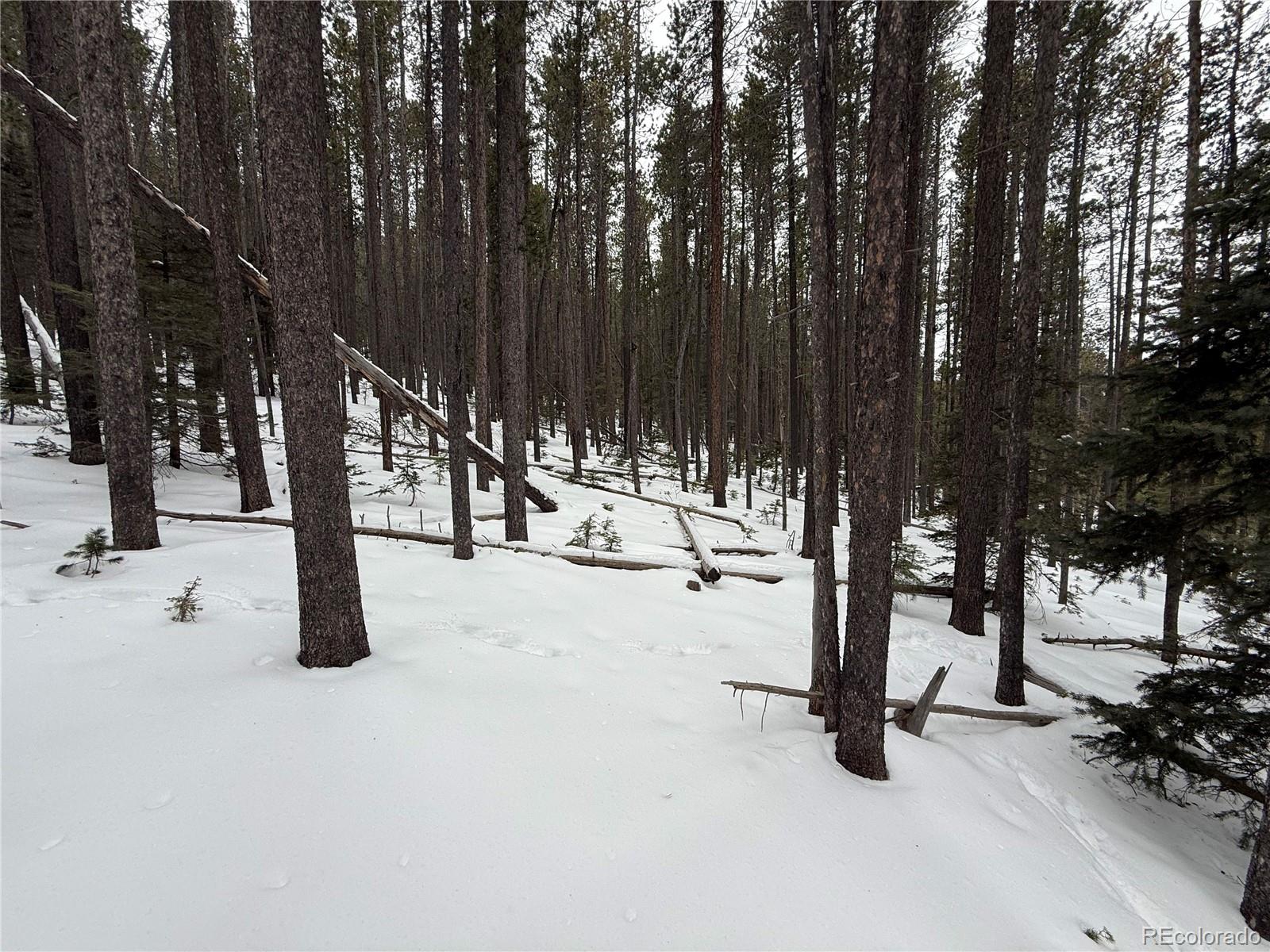 Lot 2805 Moir Drive