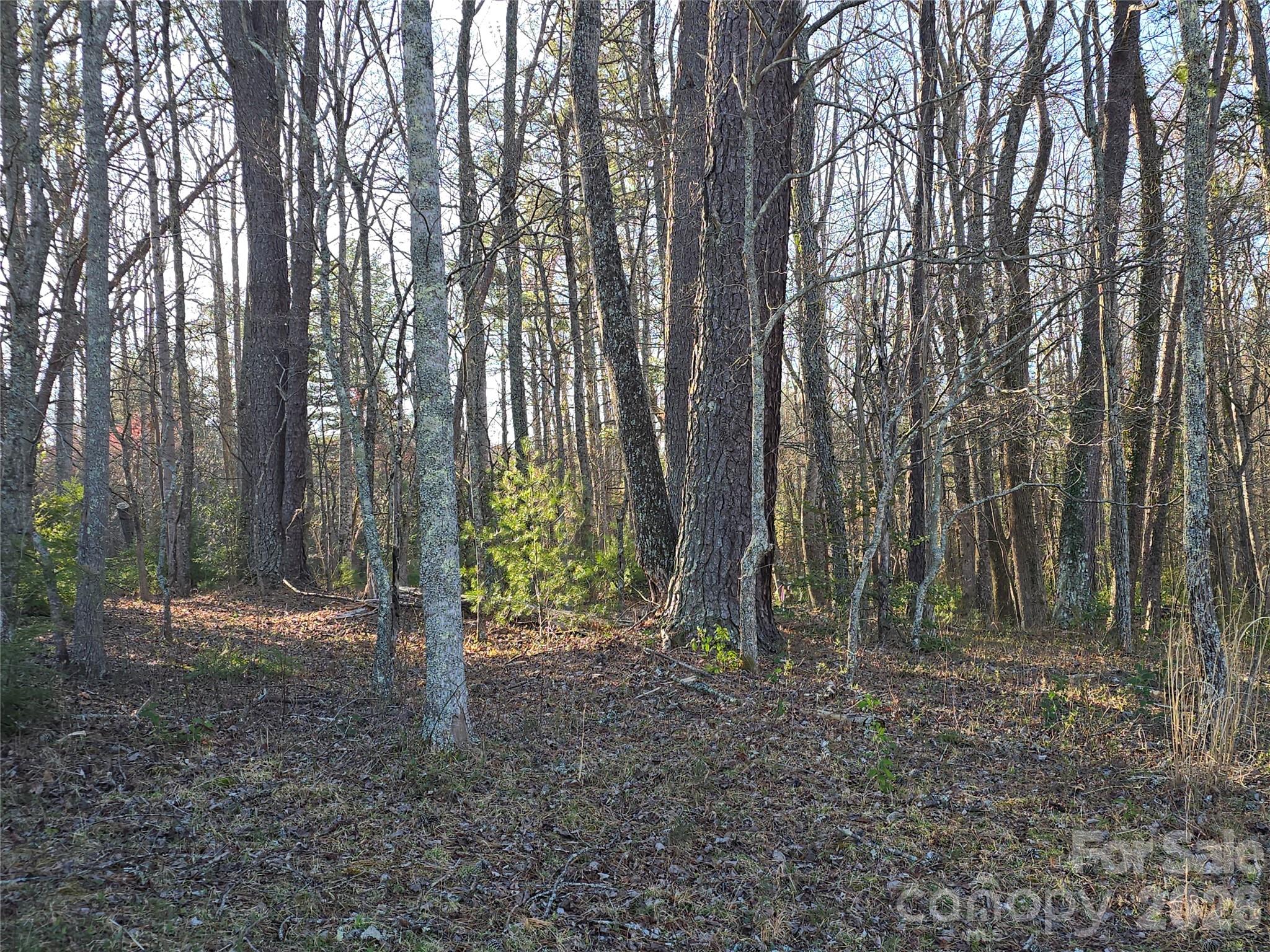 117 Woods View Trail
