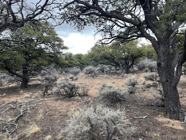 Lot 2087 Sandoval Road