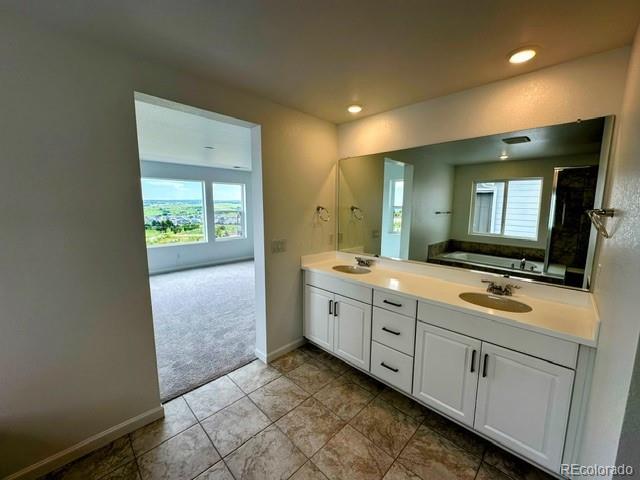 13358 Blue Amber Court