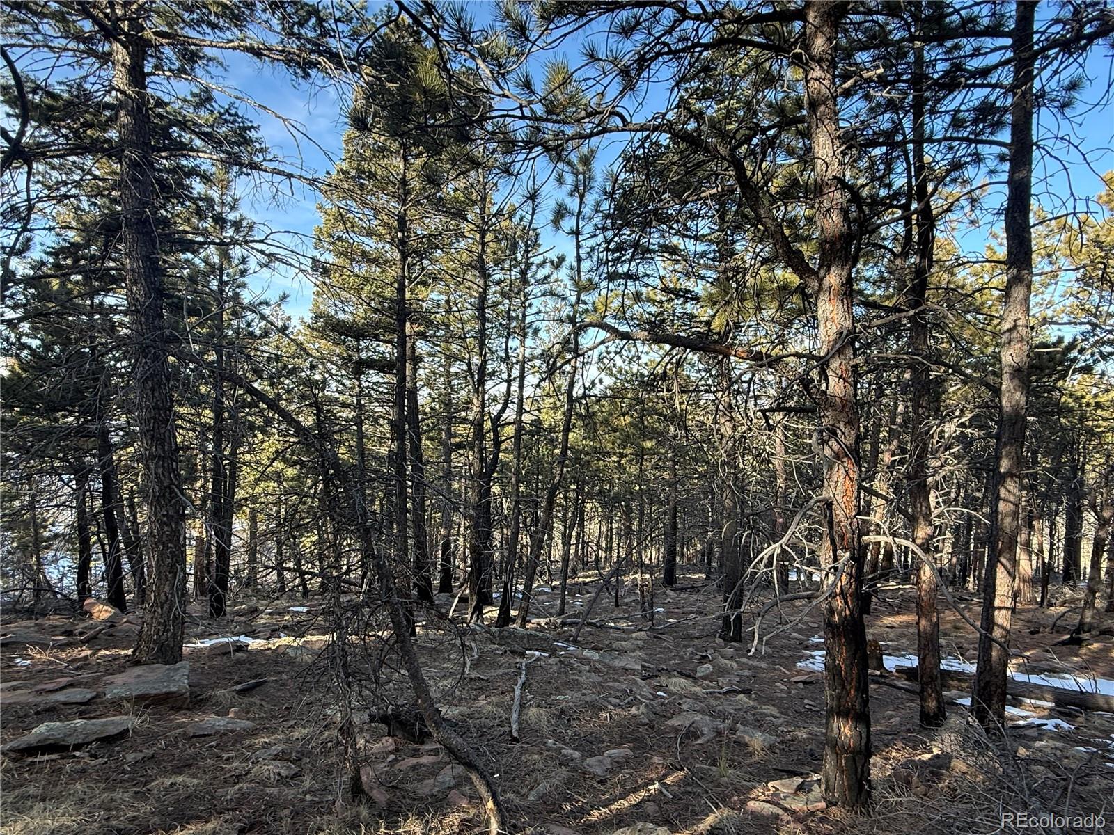 Lot 356 Spangle Drive