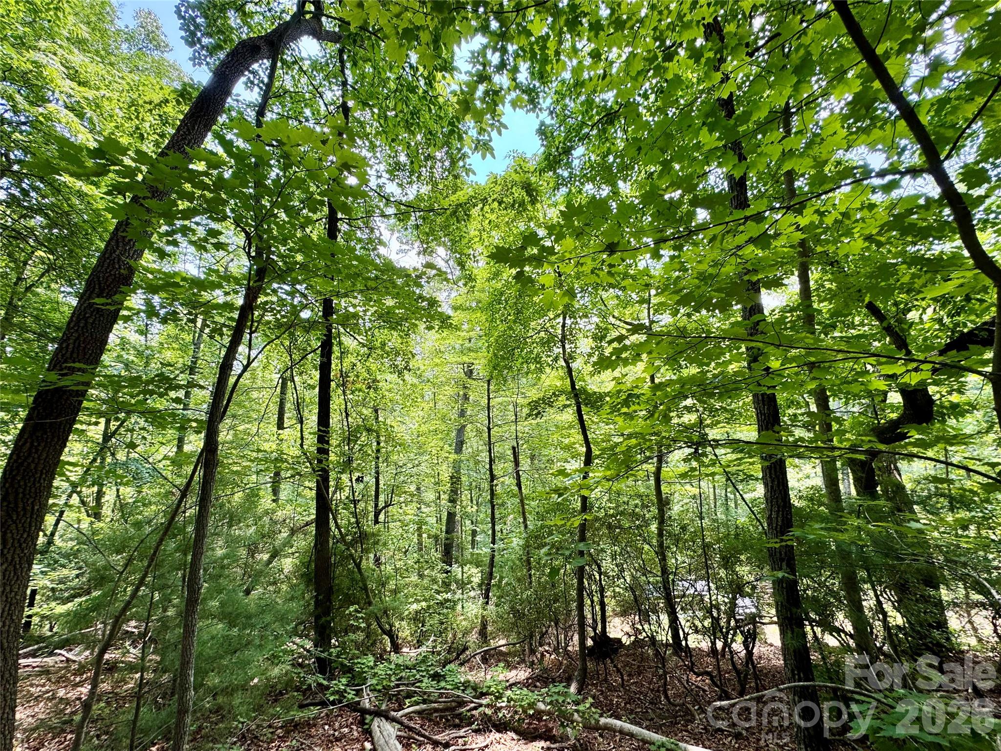 35+ acres - Lot 23 Bear Track Lane 23
