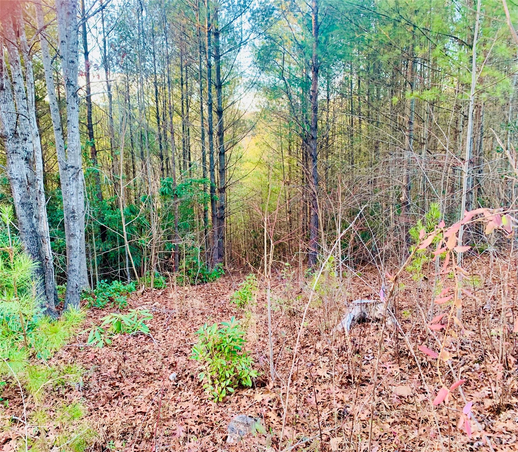 1.93 acres, Lot CB-6 Blowing Pines Court Lot CB-6