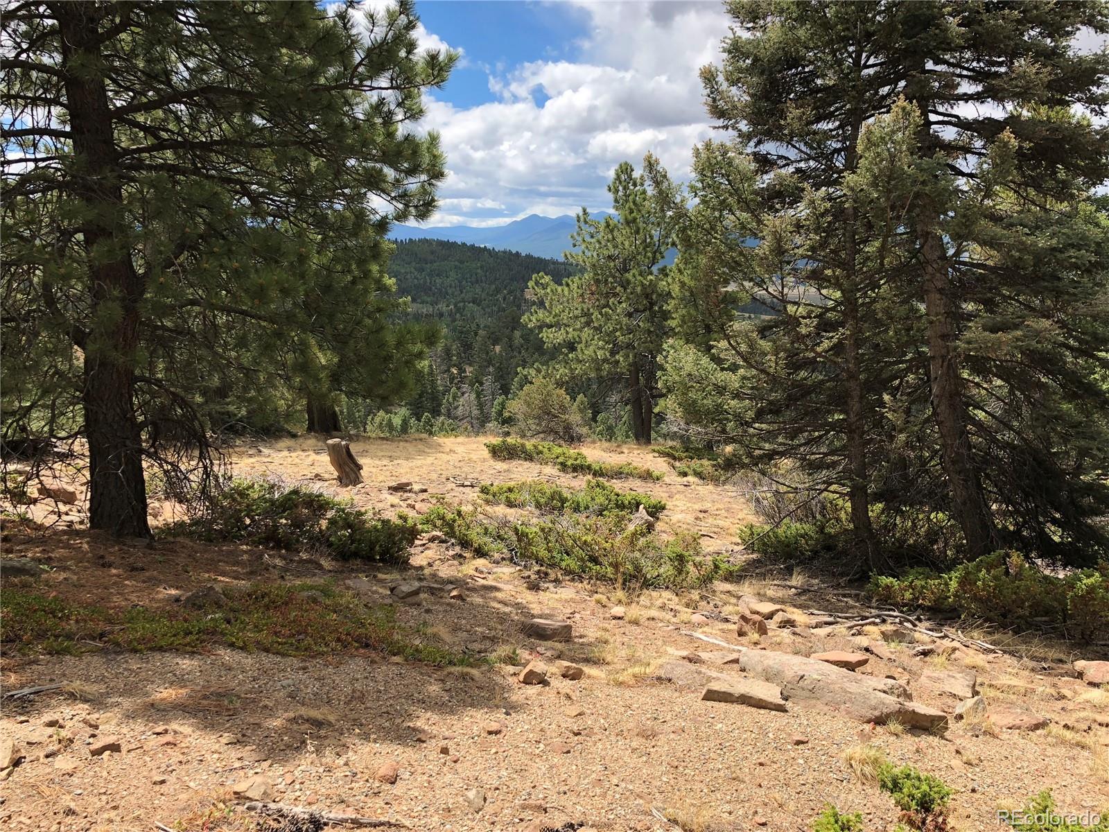 Lot 174 Ferris Place