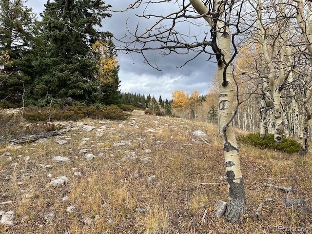 Lot 6557 Schlueter Road