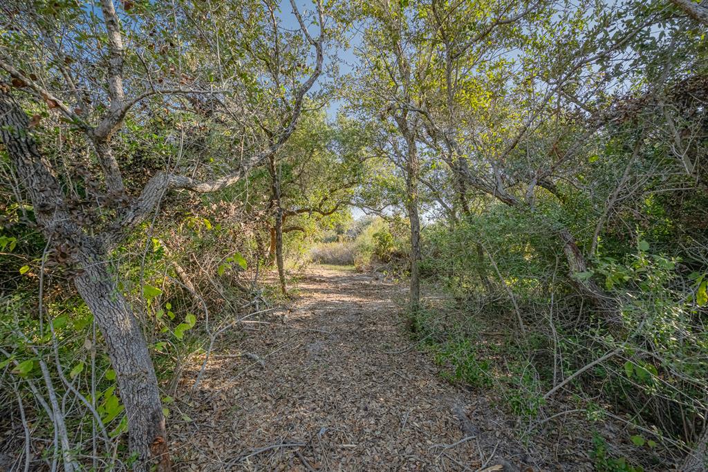 Nestled within an enchanting 9-acre tract, majestic oak trees stand like ancient sentinels, their sprawling branches creating a canopy of natural wonder. The oaks offer an air of privacy, weaving a sense of seclusion and serenity throughout the property making it an ideal and spacious location for a future homesite. Whether it's a dream home or a peaceful retreat, the tract provides a harmonious blend of open space and woodland charm. Zoned Residential 1. Drive by and take a look at this great property!!