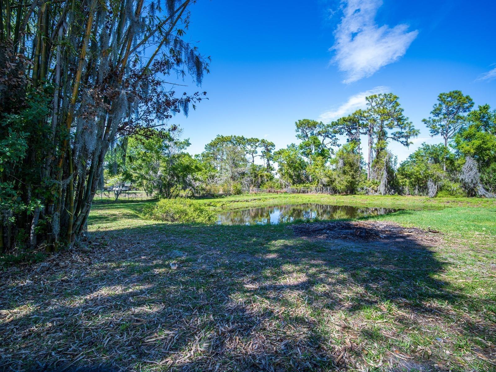 7311 Proctor Road