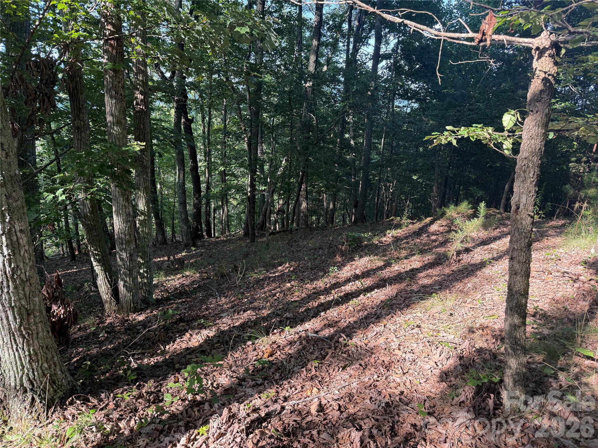 V/L Scenic Vista Drive 332/333