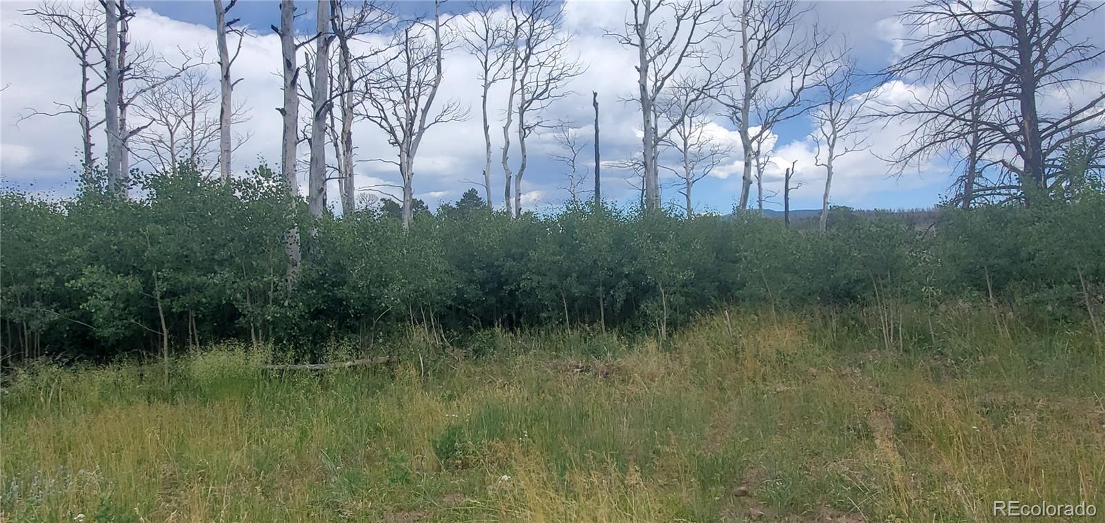 Lot 1720 Fitts Place