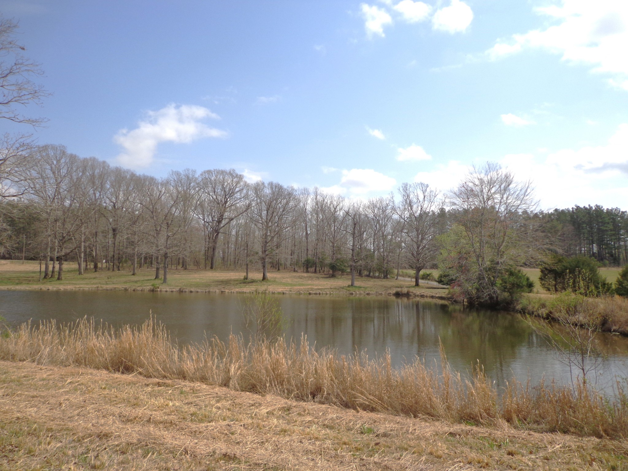 1551 Tennessee Ridge Road