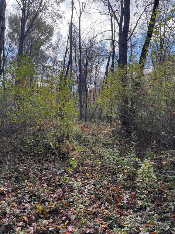 20-acre wooded parcel located in Holt, Michigan, just minutes from Lansing. The property features approximately 675 feet of road frontage, providing convenient access.The land is heavily wooded with a mix of vegetation and natural cover that supports local wildlife. Suitable for recreational use such as hunting (subject to local regulations), hiking, and camping.This property may also present an opportunity for investment or long-term land holding in close proximity to the Lansing area.For more information or a private showing, contact listing agent Cody Ballard @ 517-230-3769 or cballard@mossyoakproperties.com Current use is Hunting,Recreational.