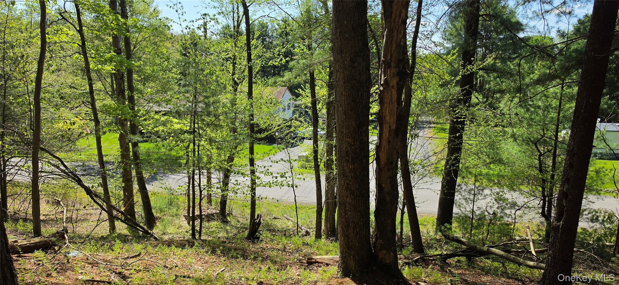 Hamilton Road