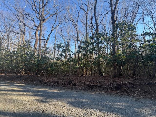 Nice opportunity in the desirable Elkhorn Acres subdivision! These two adjoining wooded lots offer privacy and a natural setting, featuring a small branch along the rear of the property. Ideally located less than half a mile from the Blue Ridge Parkway, you'll enjoy easy access to one of the area's most scenic attractions while still having a peaceful retreat to build your dream home or getaway. Plenty of potential with combined acreage—don't miss this chance to own a slice of mountain tranquility!  Electrical available , trash disposal in community