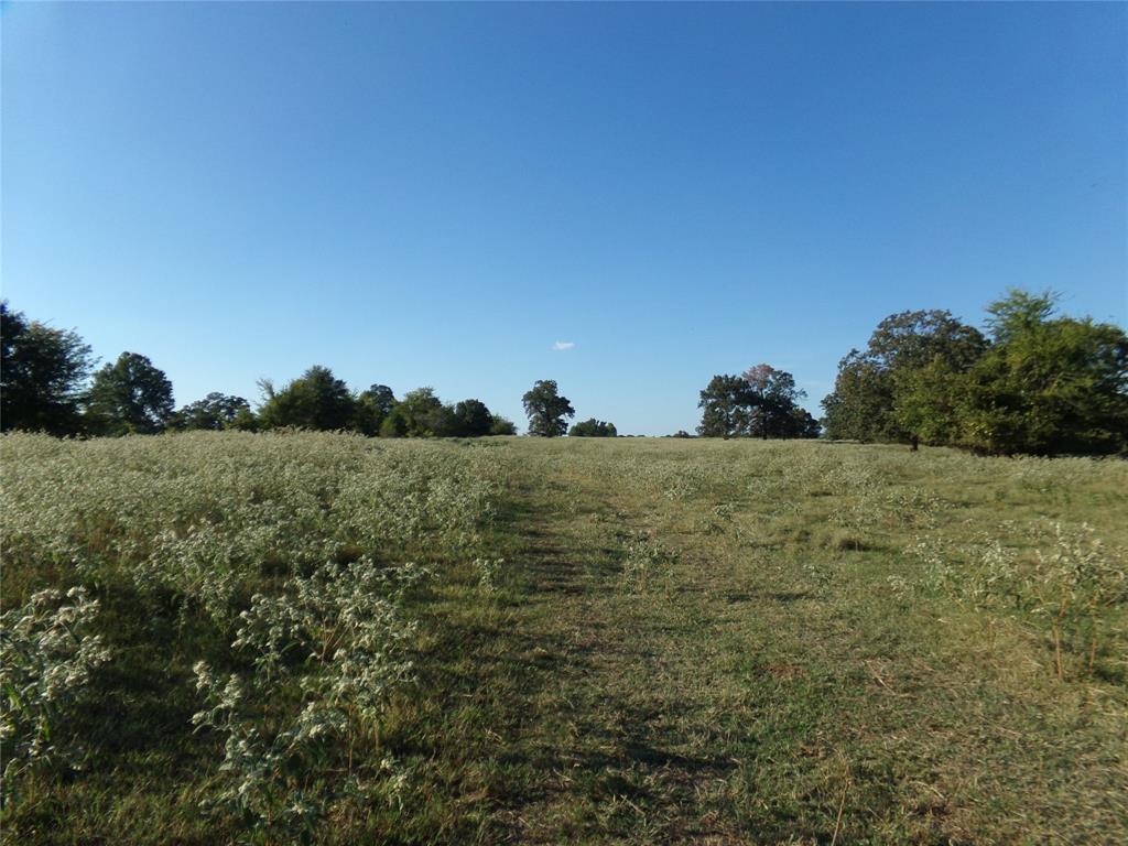 Beautiful ranch 231+- acres with sandy soil.  There are total of 4 ponds; 2 small ponds, 2 small lakes.  Property has barn on west end with FM 194 entrance, acreage is crossed fenced & has a small shed on east side.  East side has small corral catch pen. There is a creek running through the property with treed areas along the creek & scattered trees over the property.  The west side has nice level areas for home, cabin etc. The east side has rolling sandy hilly knolls with beautiful views & great spots for cabin, home & hunting areas.  North boundary is previous railroad right of way.  Current use to run cattle. Property is located in desirable Prairiland ISD with elementary school in Blossom and Pattonville main campus.  Property located about 10 miles from Paris, 95 miles from Dallas area, 80 miles from Texarkana, 50 miles to Mt. Pleasant, 90 miles to Tyler and about 25 miles from Oklahoma line. Looking for country acreage for cattle, recreational, hunting, etc. here it is!