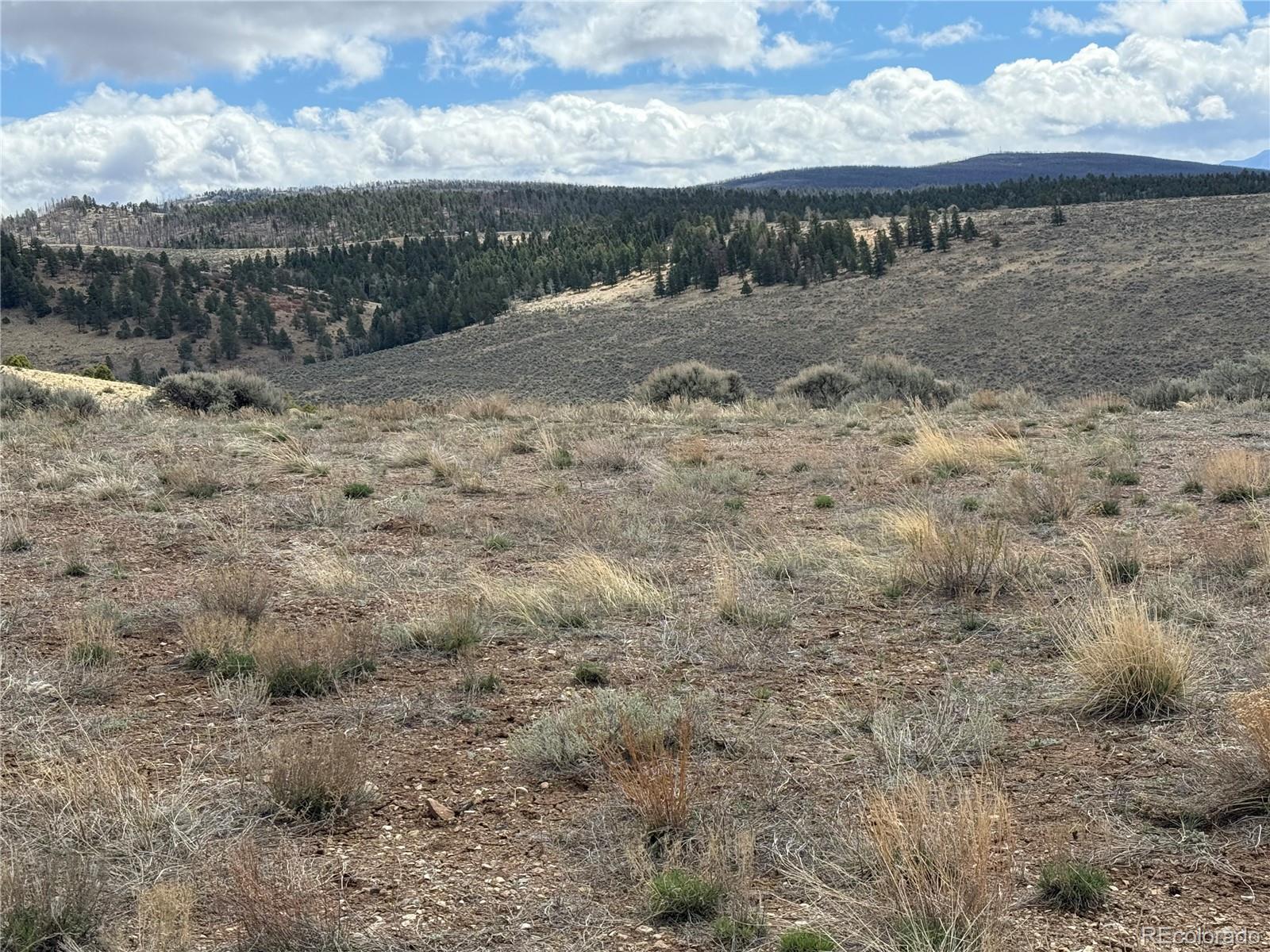 Lot 2415 Petito Drive
